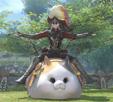 cat is hungry ffxiv.